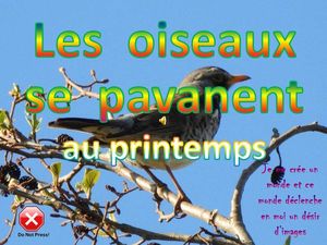 les_oiseaux_se_pavanent_au_printemps__roland