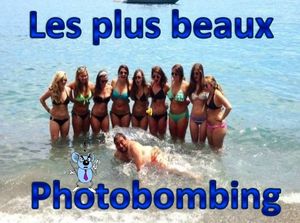 les_plus_beaux_photobombing_roland