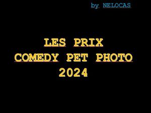 les_prix_comedy_pet_photo_2024_nelocas