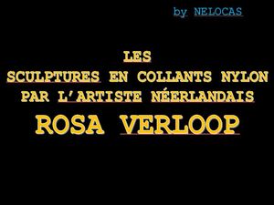 les_sculptures_en_collants_nylon_par_l_artiste_neerlandais_rosa_verloop_nelocas