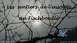 les_sentiers_de_l_insolite_au_fischboedle__roland