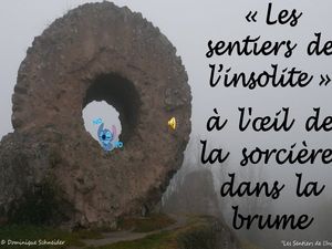 les_sentiers_de_l_insolite_dans_la_brume_a_l_oeil_de_la_sorciere__roland