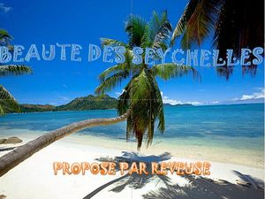 les_seychelles_reveuse
