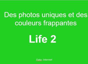 life_2_des_photos_au_couleurs_frappantes