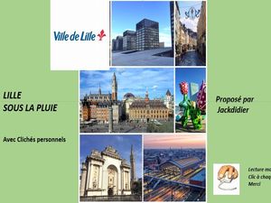 lille_visite_sous_la_pluie__jackdidier