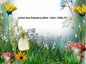 lorient_vous_presente_le_mont_saint_odile_1