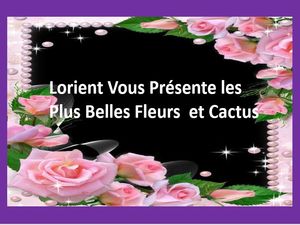 lorient_vous_presente_les_plus_belles_fleurs_et_cactus