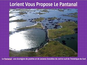 lorient_vous_propose_pantanal