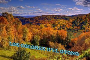 los_colores_del_otono