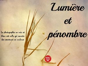 lumiere_et_penombre__roland