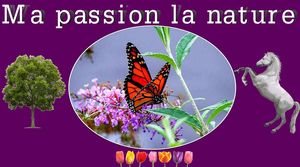 ma_passion_la_nature_maumau