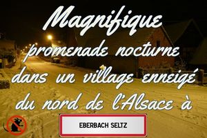 magnifique_promenade_nocturne_dans_un_village_enneige__roland