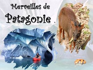 merveilles_de_patagonie__p_sangarde