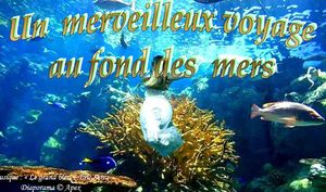 merveilleux_voyage_au_fond_des_mers_apex