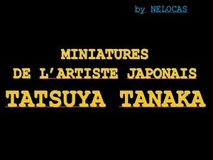 miniatures_de_l_artiste_japonais_tatsuya_tanaka_nelocas