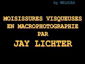 moisissures_visqueuses_en_macrophotographie_par_jay_lichter_nelocas