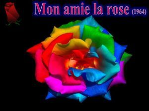 mon_amie_la_rose_phil_v