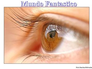 mundo_fantastico