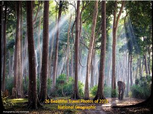 national_geographic