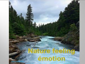 natur_feeling_emotion_1