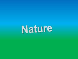 nature_11