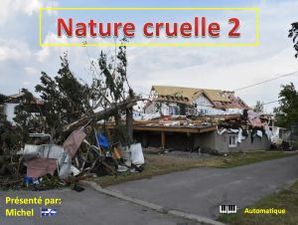 nature_cruelle_2__michel