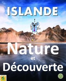 nature_nordique_en_islande_roland