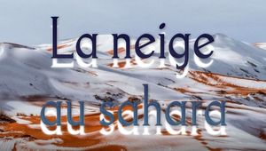 neige_au_sahara_en_2021
