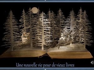 nouvelle_vie_pour_de_vieux_livres__reginald_day