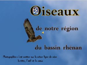 oiseaux_de_notre_region_du_bassin_rhenan__roland