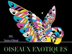 oiseaux_exotiques_roland