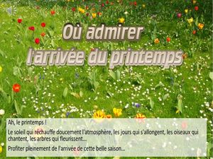 ou_admirer_le_printemps_phil_v