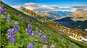 parc_national_des_kenai_fjords__gilianne