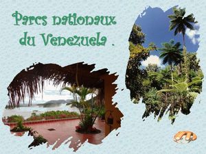 parcs_nationaux_du_venezuela__p_sangarde