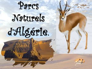 parcs_naturels_d_algerie__p_sangarde