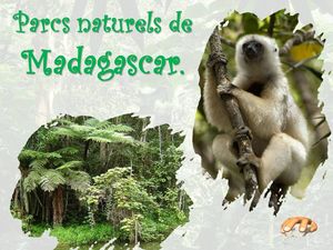 parcs_naturels_de_madagascar__p_sangarde