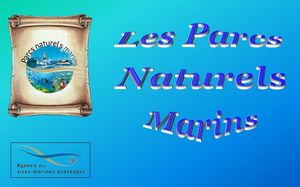 parcs_naturels_marins_phil_v