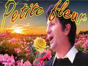 petite_fleur_mouloudji__apex