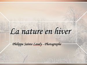 philippe_sainte_laudy_photographe_nature_en__hiver__gilianne