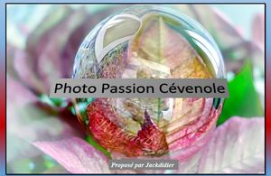photo_passion_cevenole__jackdidier