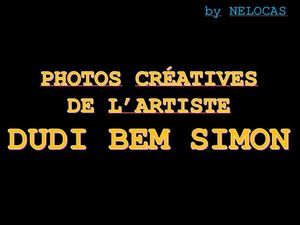 photos_creatives_de_l_artiste_dudi_ben_simon_nelocas