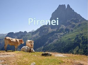 pirenei_11