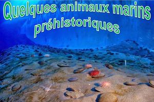quelques_animaux_marins_prehistoriques_apex