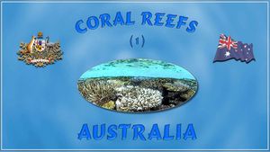 recifs_coralliens_australie_1_steve