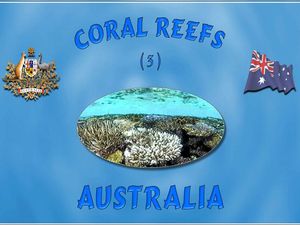 recifs_coralliens_australie_3_steve