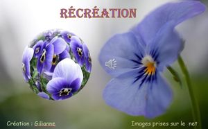 recreation__gilianne