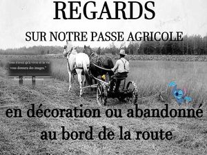 regards_sur_notre_passe_agricole_au_bord_de_la_route__roland