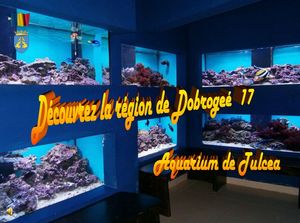 region_de_dobrogea_17_aquarium_de_tulcea_stellinna