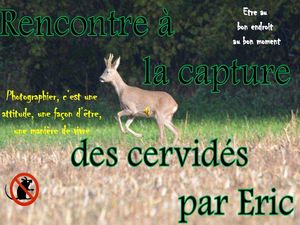rencontre_a_la_capture_des_cervides__roland