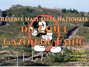 reserve_naturelle_nationale_du_tanet_gazon_du_faing__roland
